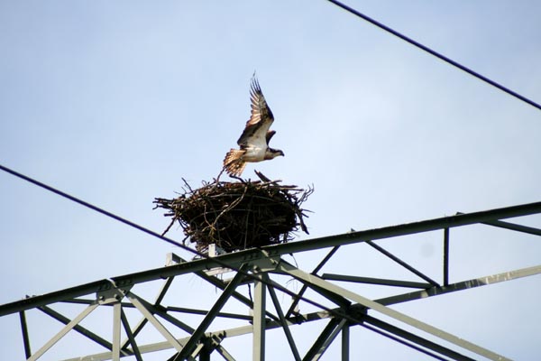 Killikus® Fotographie Killikus® Fotographie